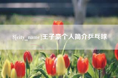 乐陵王子豪个人简介乒乓球