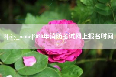 乐陵2020年消防考试网上报名时间