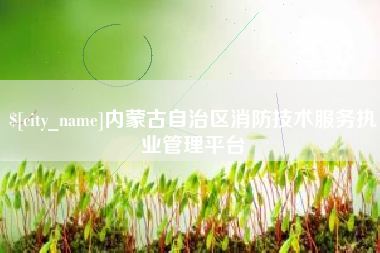乐陵内蒙古自治区消防技术服务执业管理平台