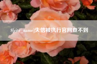 乐陵失信被执行官网查不到