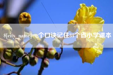 乐陵一个口诀记住34个省小学课本