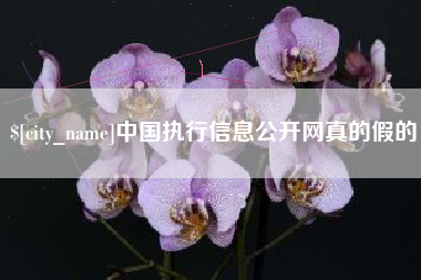 乐陵中国执行信息公开网真的假的
