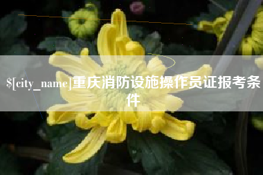 乐陵重庆消防设施操作员证报考条件