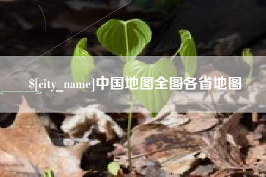 乐陵中国地图全图各省地图