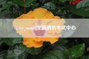 乐陵全国消防考试中心