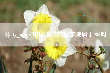 乐陵中国消防救援学院属于985吗