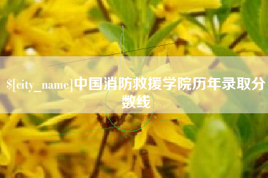 乐陵中国消防救援学院历年录取分数线