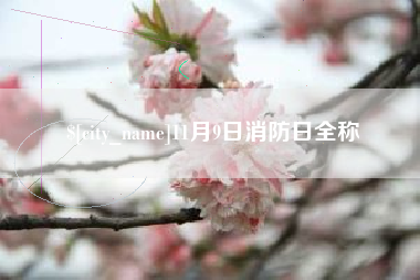 乐陵11月9日消防日全称