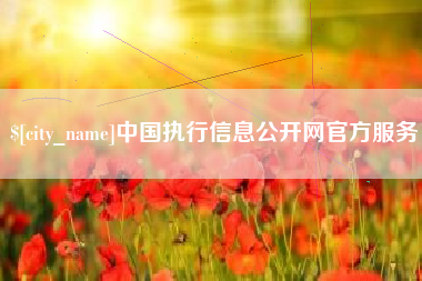 乐陵中国执行信息公开网官方服务