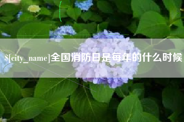 乐陵全国消防日是每年的什么时候
