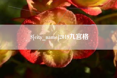 乐陵2019九宫格
