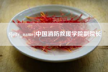 乐陵中国消防救援学院副院长