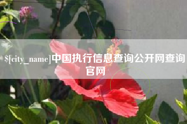 乐陵中国执行信息查询公开网查询官网