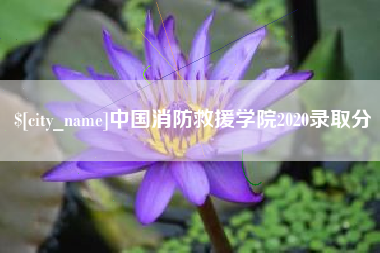 乐陵中国消防救援学院2020录取分
