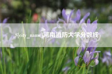 乐陵河南消防大学分数线