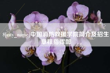 乐陵中国消防救援学院简介及招生章程指挥部