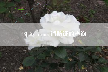 乐陵消防证的查询