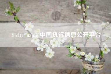 乐陵中国执行信息公开平台