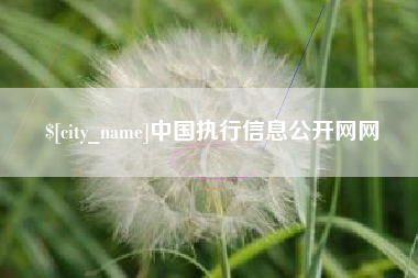 乐陵中国执行信息公开网网