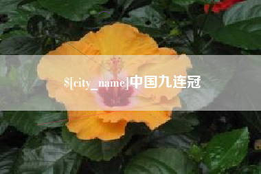 乐陵中国九连冠