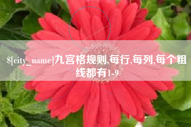 乐陵九宫格规则,每行,每列,每个粗线都有1-9