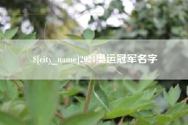 乐陵2024奥运冠军名字
