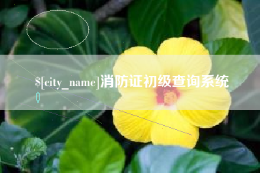 乐陵消防证初级查询系统