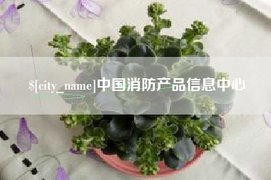 乐陵中国消防产品信息中心