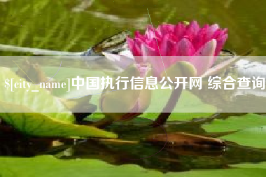 乐陵中国执行信息公开网 综合查询
