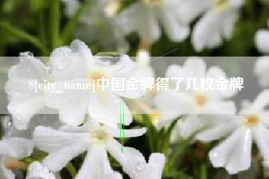 乐陵中国金牌得了几枚金牌