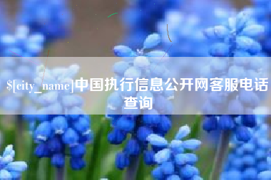 乐陵中国执行信息公开网客服电话查询