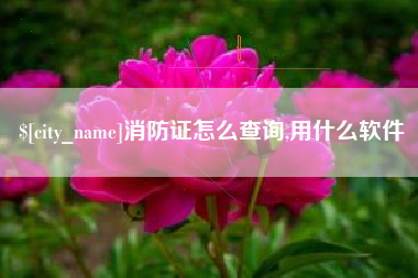 乐陵消防证怎么查询,用什么软件