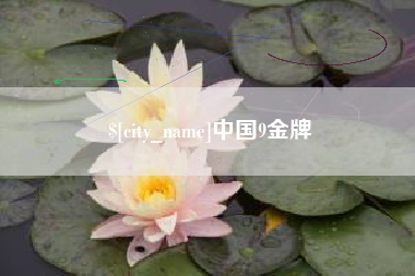 乐陵中国9金牌