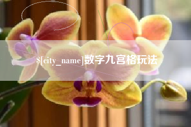 乐陵数字九宫格玩法