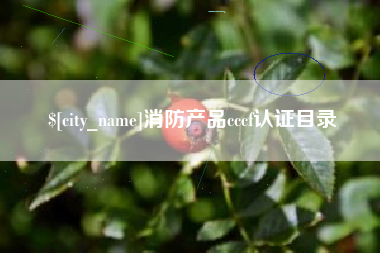 乐陵消防产品cccf认证目录