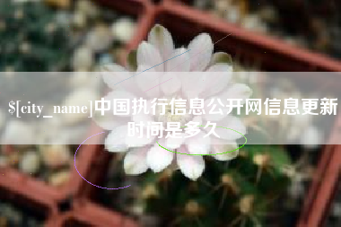 乐陵中国执行信息公开网信息更新时间是多久