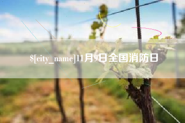 乐陵11月9日全国消防日