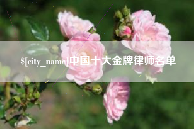 乐陵中国十大金牌律师名单