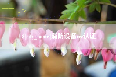 乐陵消防设备ccc认证
