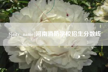 乐陵河南消防学校招生分数线
