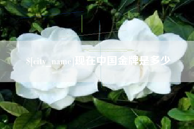 乐陵现在中国金牌是多少