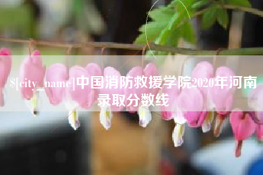 乐陵中国消防救援学院2020年河南录取分数线