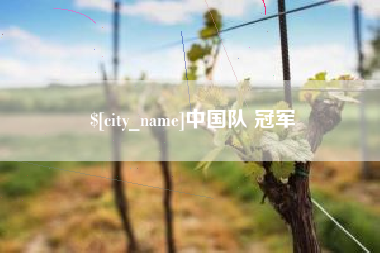 乐陵中国队 冠军