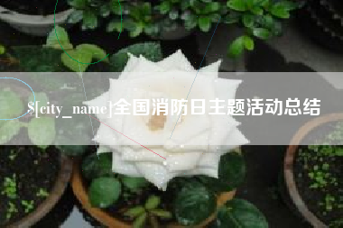 乐陵全国消防日主题活动总结