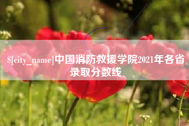 乐陵中国消防救援学院2021年各省录取分数线