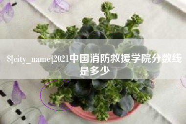 乐陵2021中国消防救援学院分数线是多少