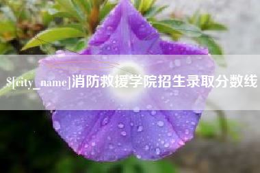 乐陵消防救援学院招生录取分数线