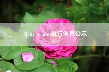 乐陵执行信息公示