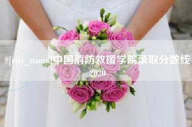 乐陵中国消防救援学院录取分数线2020