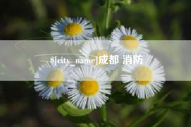 乐陵成都 消防